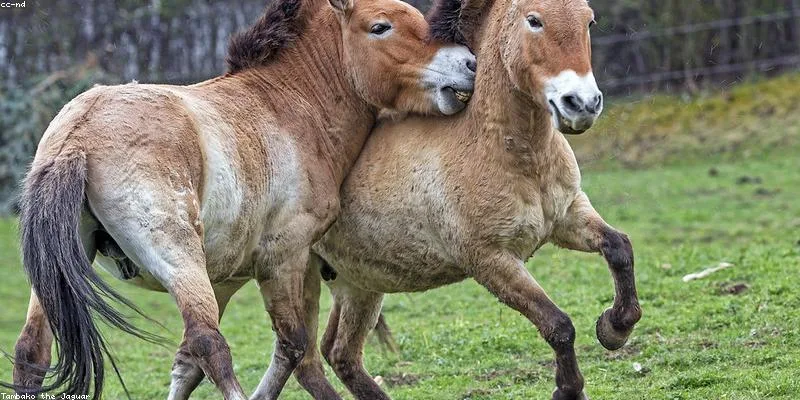 Blickkontakt beim Flirten: Die 3-Sekunden-Regel die wirklich ...