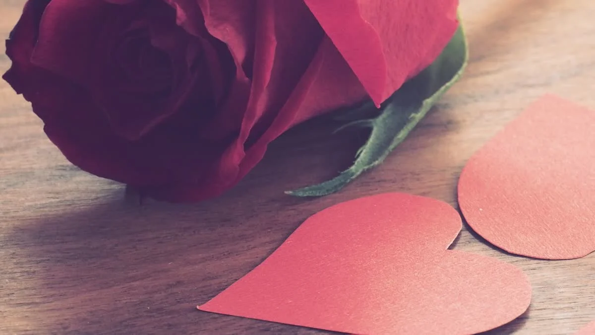 Rote Rose mit ausgeschnittenen Papierherzen auf einem Holztisch