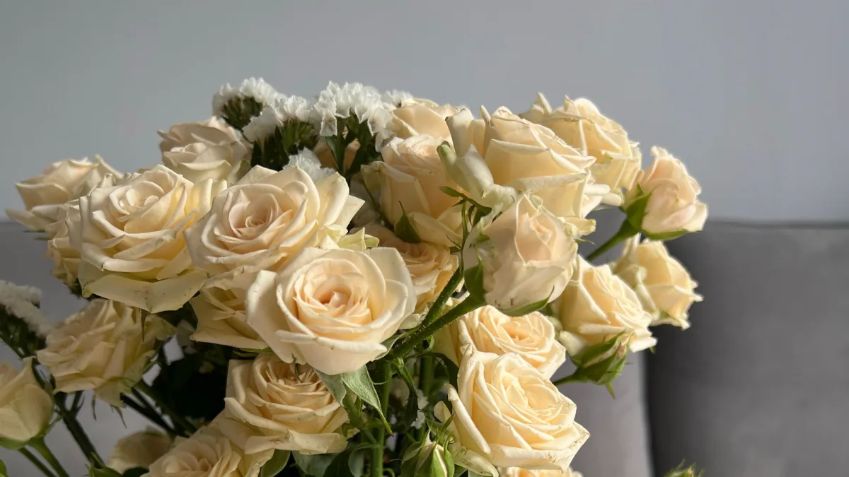 Strauß cremefarbener Rosen in einer Glasvase vor einem grauen Sofa