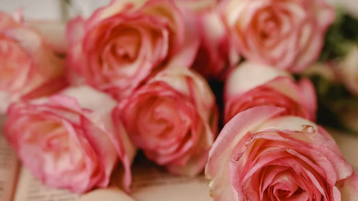 Rosa Rosen liegen auf den Seiten eines aufgeschlagenen Buches