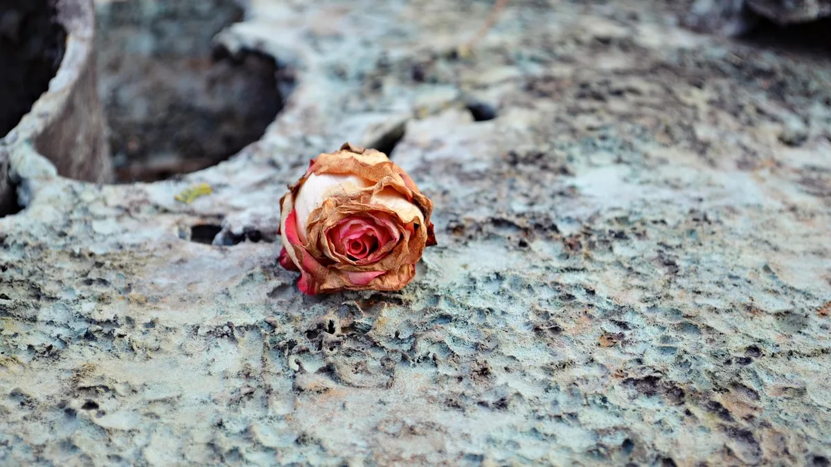 Illustration Fernbeziehung